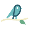Perch